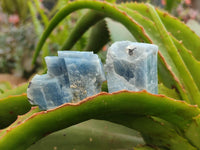 Natural Mini Sky Blue Calcite Specimens x 70 From Namibia