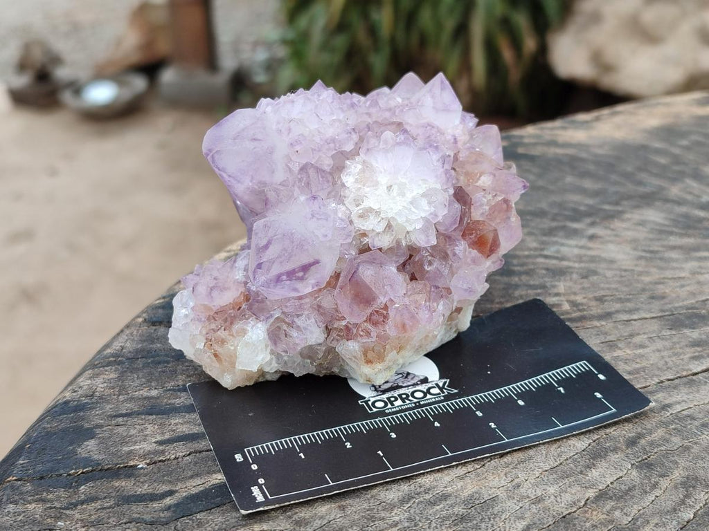 Natural Sunburst Amethyst Spirit Clusters x 6 From Boekenhouthoek, South Africa