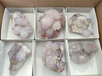 Natural Sunburst Amethyst Spirit Clusters x 6 From Boekenhouthoek, South Africa