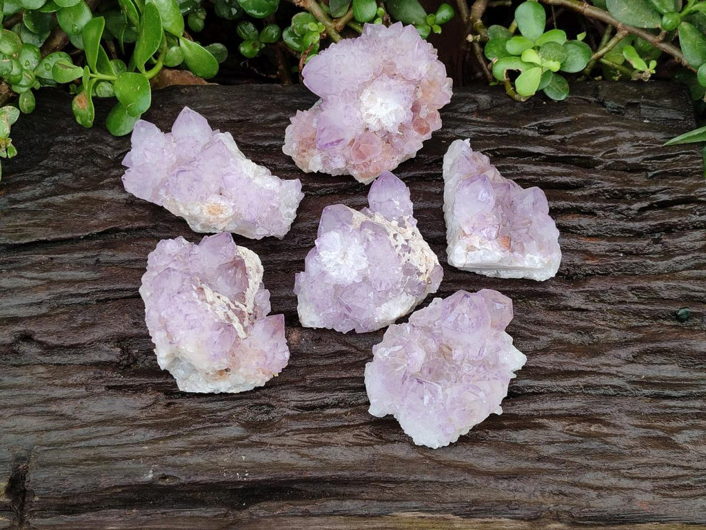 Natural Sunburst Amethyst Spirit Clusters x 6 From Boekenhouthoek, South Africa