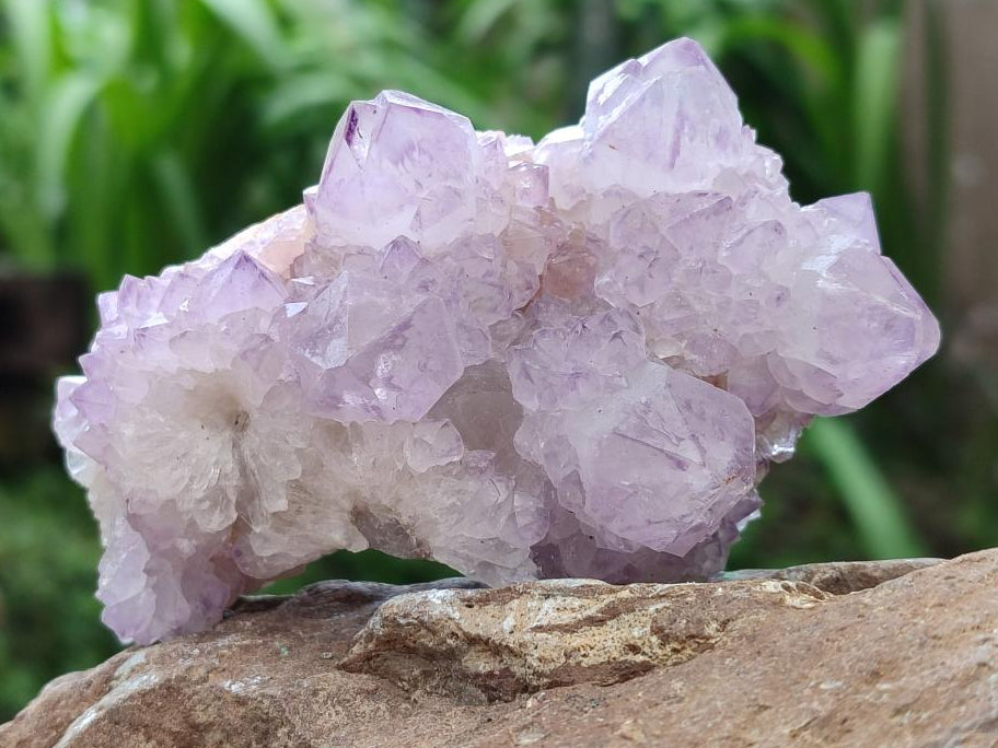 Natural Sunburst Amethyst Spirit Clusters x 6 From Boekenhouthoek, South Africa