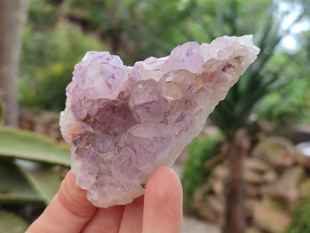Natural Sunburst Amethyst Spirit Clusters x 6 From Boekenhouthoek, South Africa
