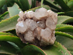 Natural Smokey Phantom Quartz Clusters x 2 From Luena, Congo