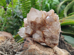 Natural Smokey Phantom Quartz Clusters x 2 From Luena, Congo