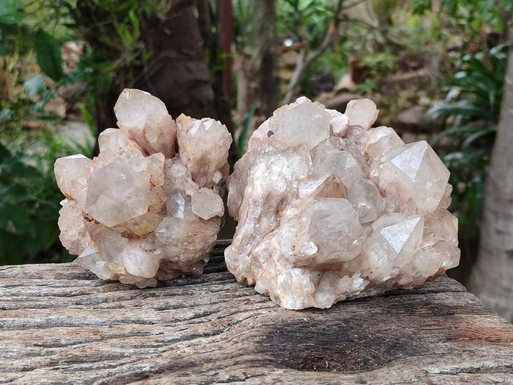 Natural Smokey Phantom Quartz Clusters x 2 From Luena, Congo