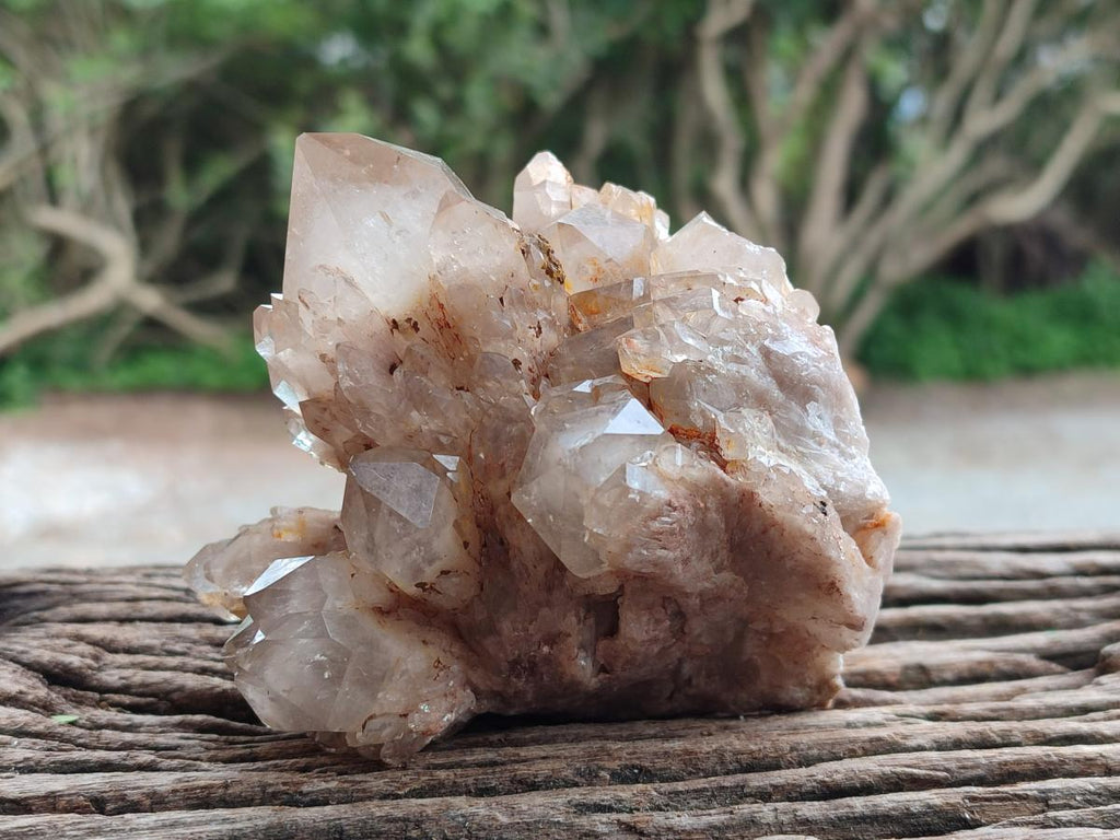 Natural Smokey Phantom Quartz Clusters x 2 From Luena, Congo