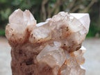 Natural Smokey Phantom Quartz Clusters x 2 From Luena, Congo