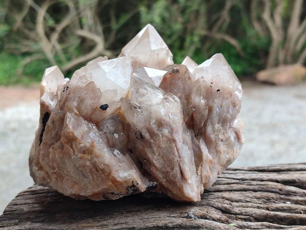 Natural Smokey Phantom Quartz Clusters x 2 From Luena, Congo