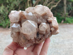 Natural Smokey Phantom Quartz Clusters x 2 From Luena, Congo