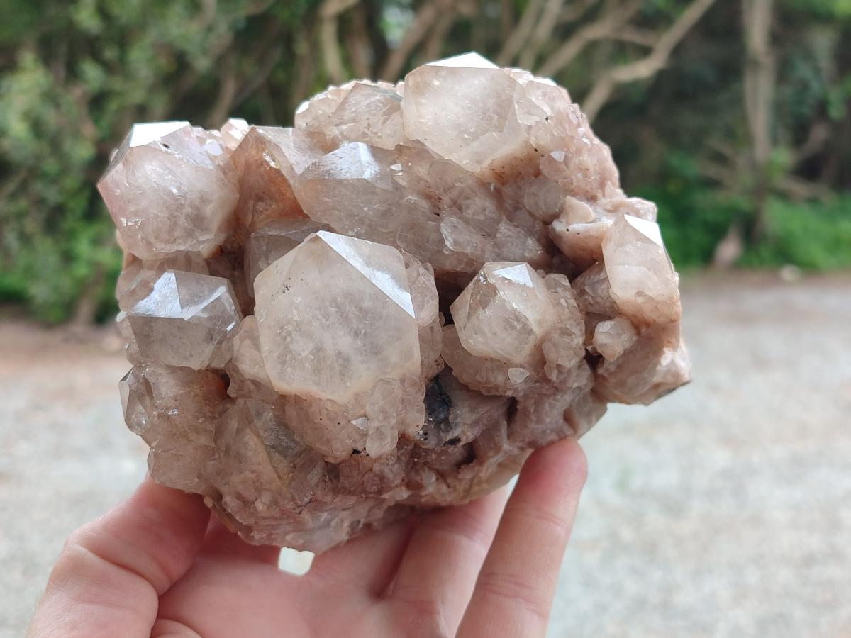 Natural Smokey Phantom Quartz Clusters x 2 From Luena, Congo