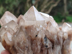 Natural Smokey Phantom Quartz Clusters x 2 From Luena, Congo