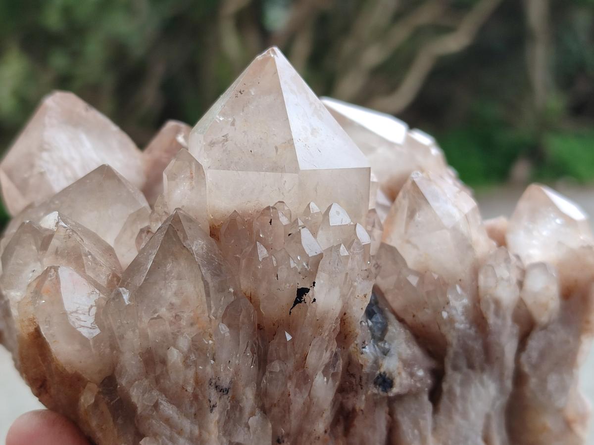 Natural Smokey Phantom Quartz Clusters x 2 From Luena, Congo
