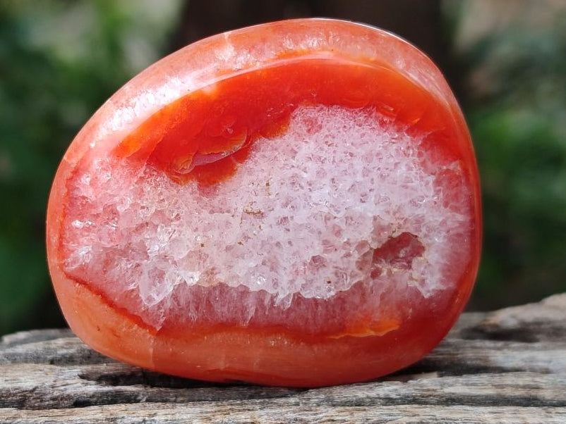 Polished Carnelian Agate Gemstone Galets x 20 From Madagascar