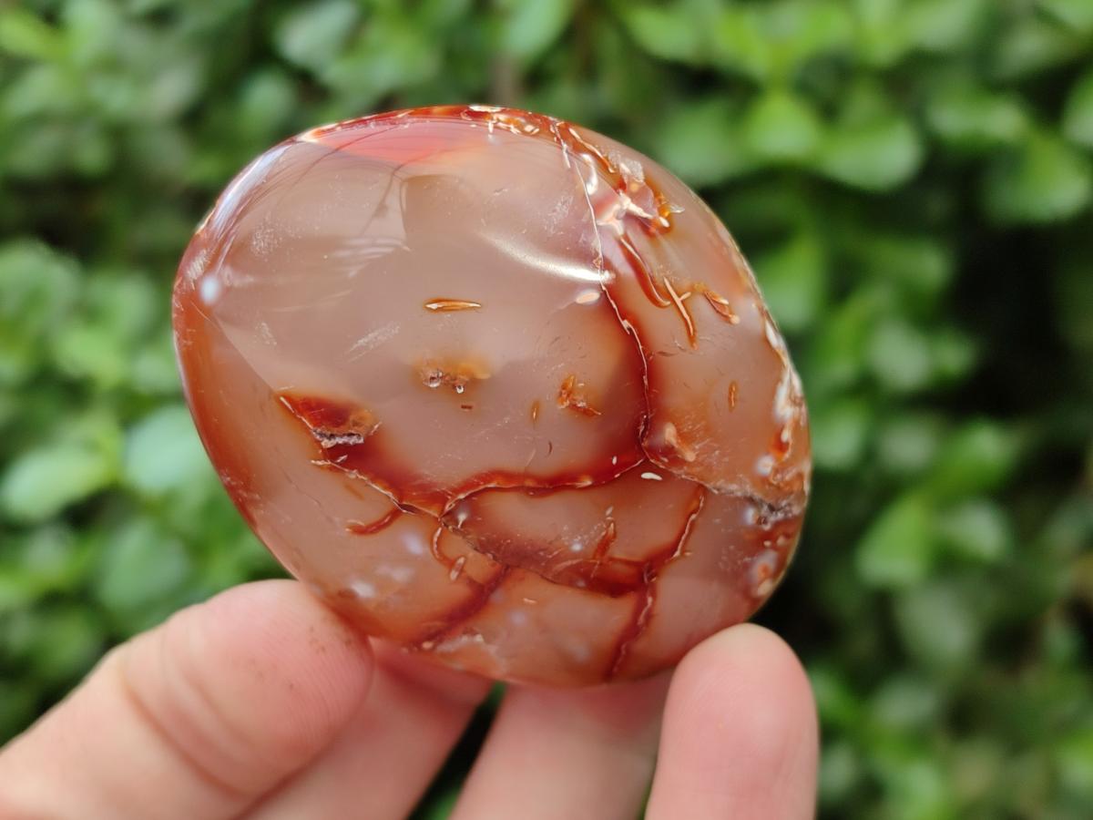 Polished Carnelian Agate Gemstone Galets x 20 From Madagascar