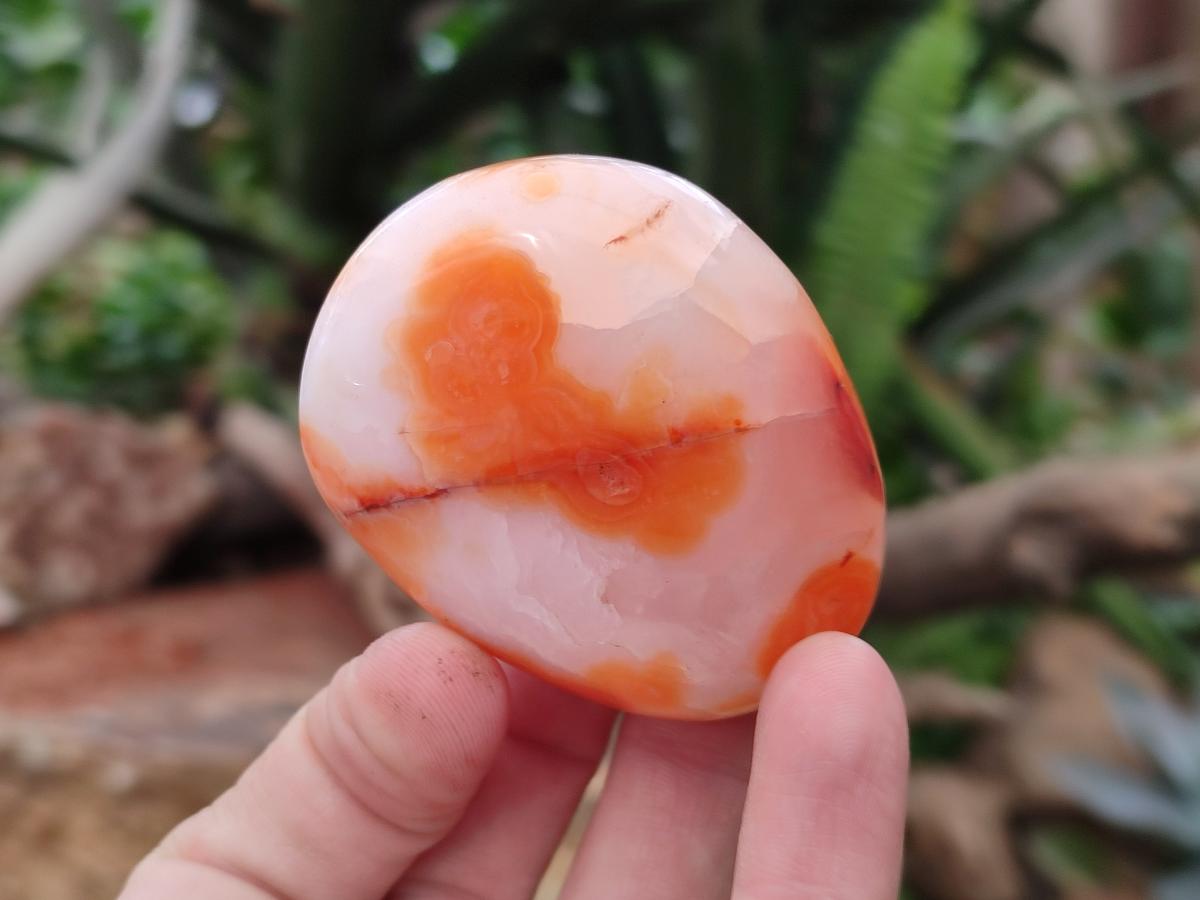 Polished Carnelian Agate Gemstone Galets x 20 From Madagascar