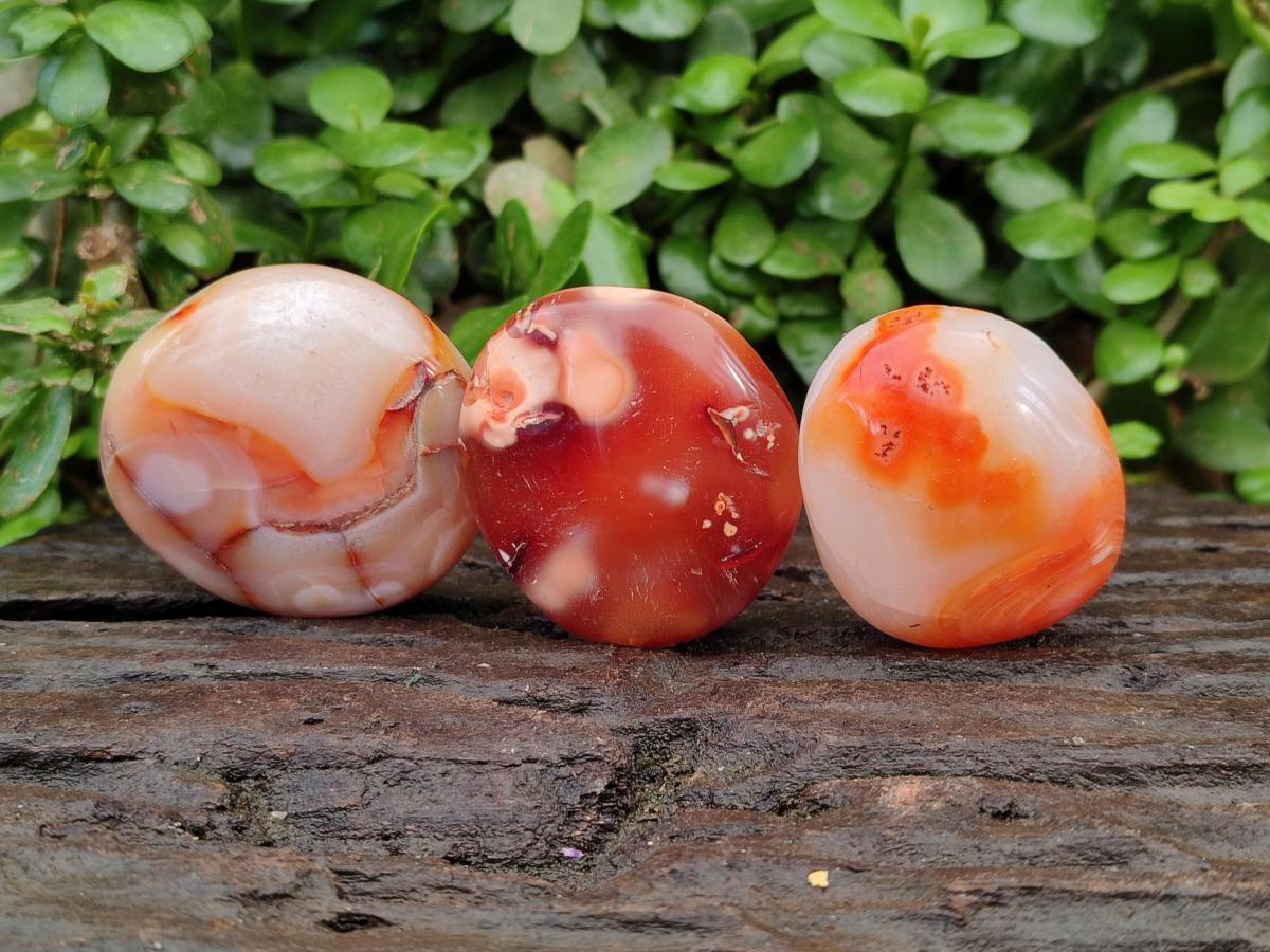 Polished Carnelian Agate Gemstone Galets x 20 From Madagascar