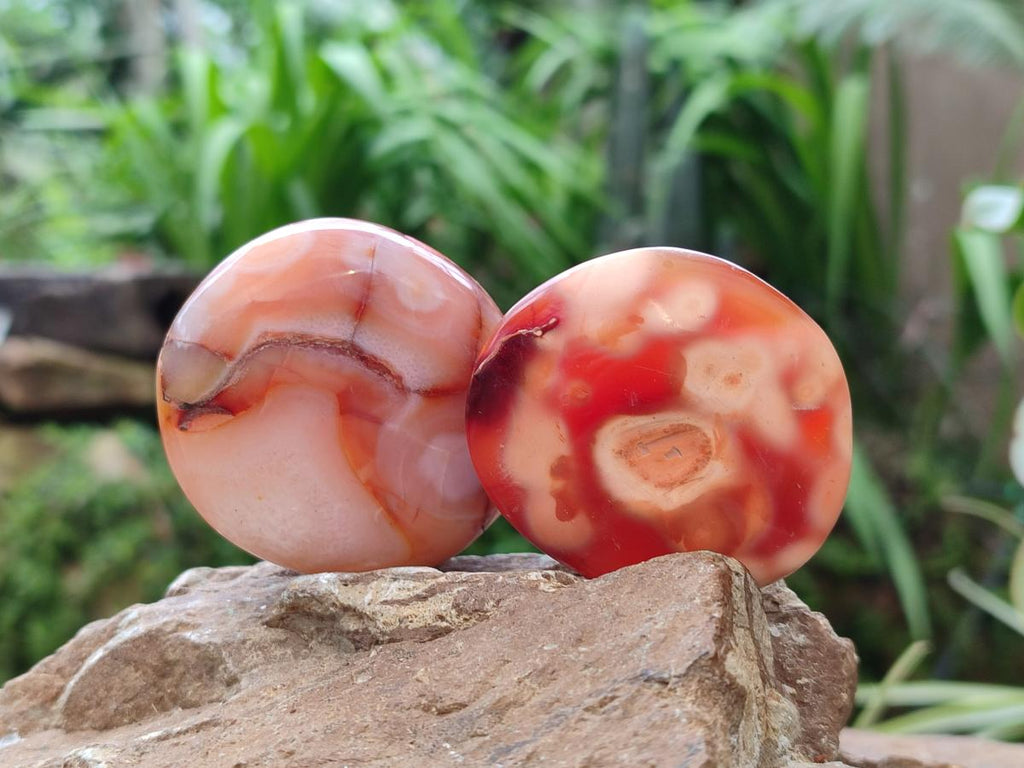 Polished Carnelian Agate Gemstone Galets x 20 From Madagascar