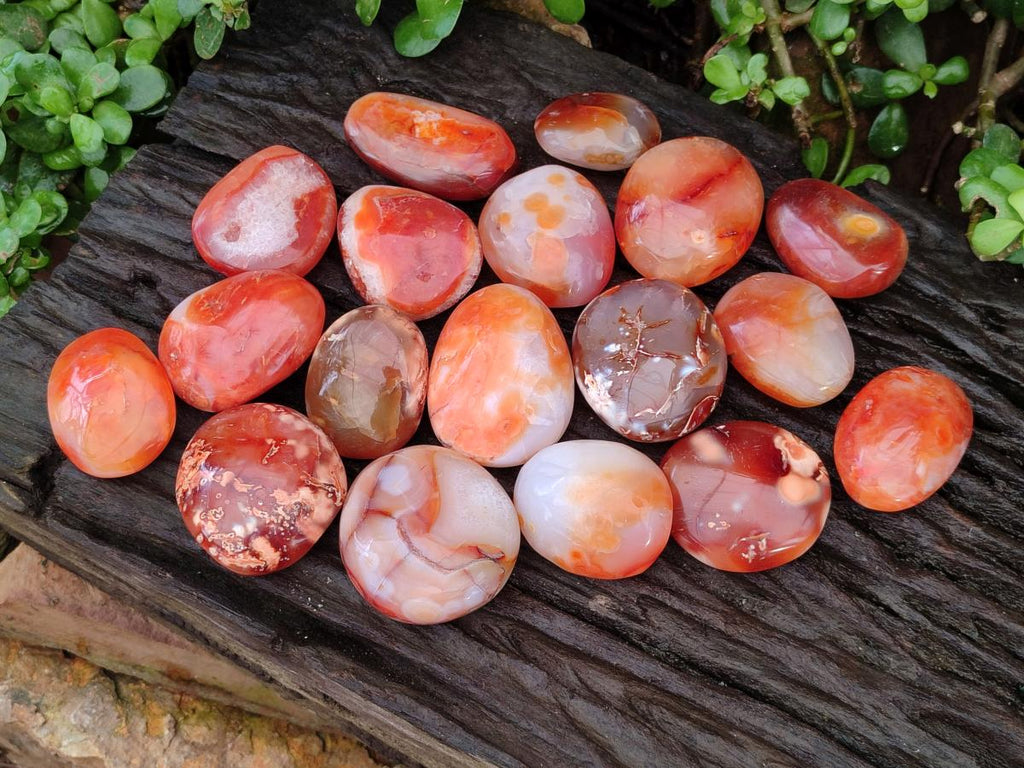 Polished Carnelian Agate Gemstone Galets x 20 From Madagascar