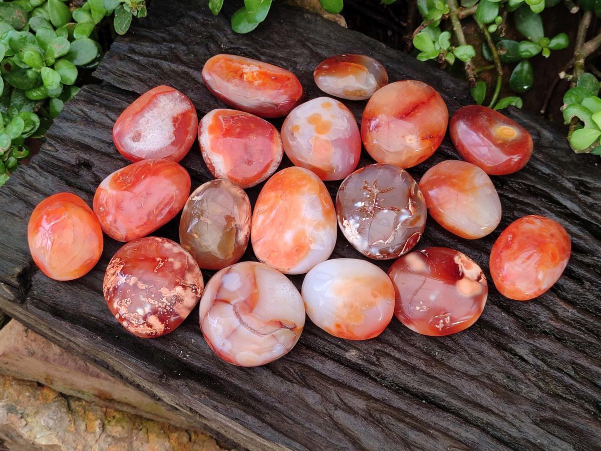 Polished Carnelian Agate Gemstone Galets x 20 From Madagascar