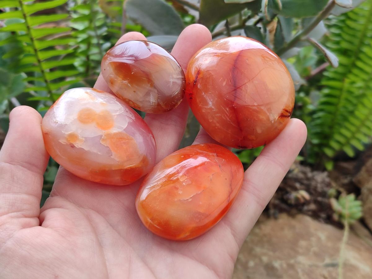 Polished Carnelian Agate Gemstone Galets x 20 From Madagascar