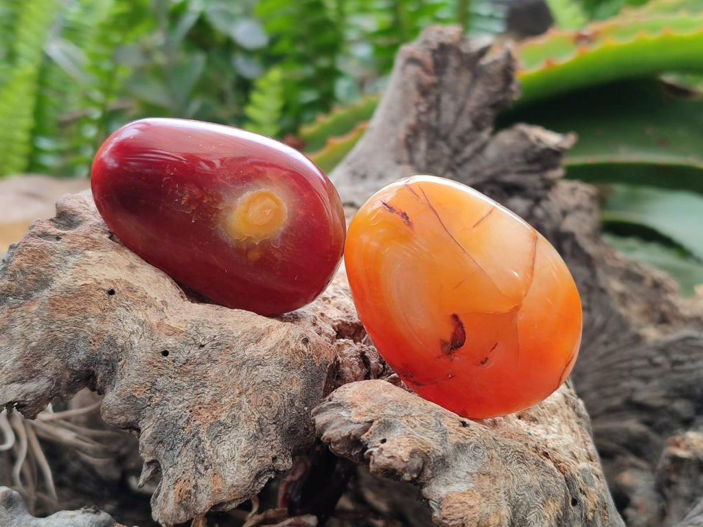 Polished Carnelian Agate Gemstone Galets x 20 From Madagascar