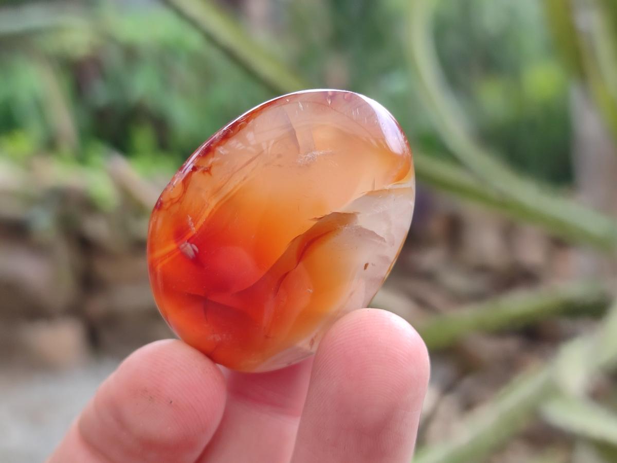 Polished Carnelian Agate Gemstone Galets x 20 From Madagascar
