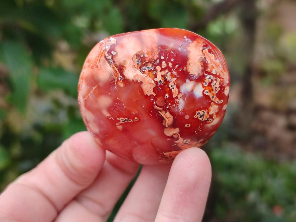 Polished Carnelian Agate Gemstone Galets x 20 From Madagascar