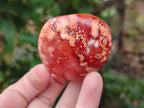 Polished Carnelian Agate Gemstone Galets x 20 From Madagascar