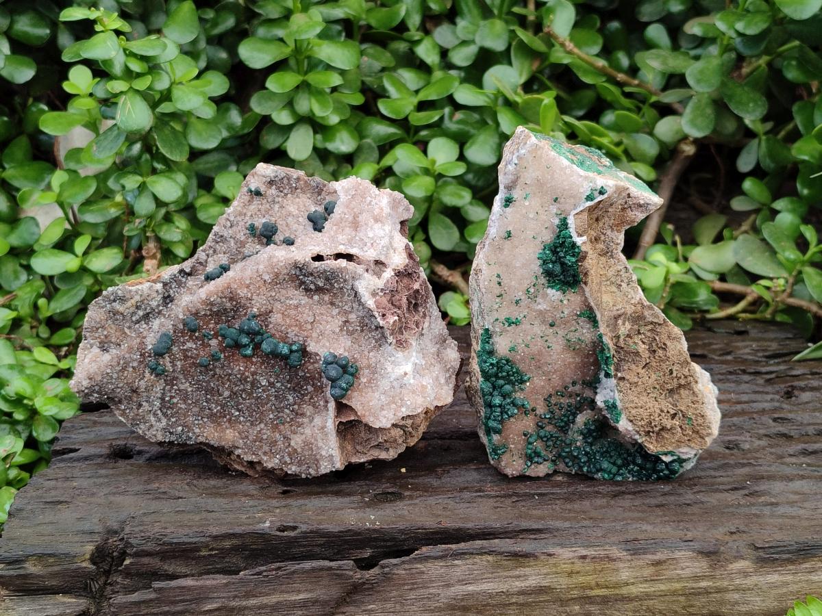 Natural Silky Ball Malachite and Drusy Quartz On Dolomite Matrix Specimens x 2 From Mindingi Mine, Kambove, Congo