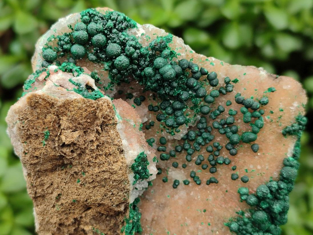 Natural Silky Ball Malachite and Drusy Quartz On Dolomite Matrix Specimens x 2 From Mindingi Mine, Kambove, Congo