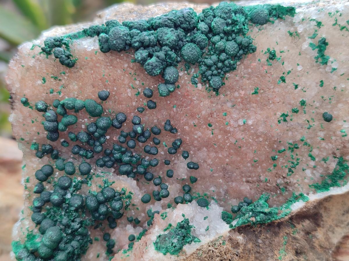 Natural Silky Ball Malachite and Drusy Quartz On Dolomite Matrix Specimens x 2 From Mindingi Mine, Kambove, Congo