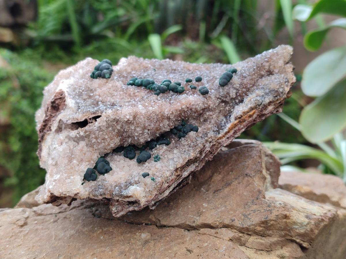 Natural Silky Ball Malachite and Drusy Quartz On Dolomite Matrix Specimens x 2 From Mindingi Mine, Kambove, Congo