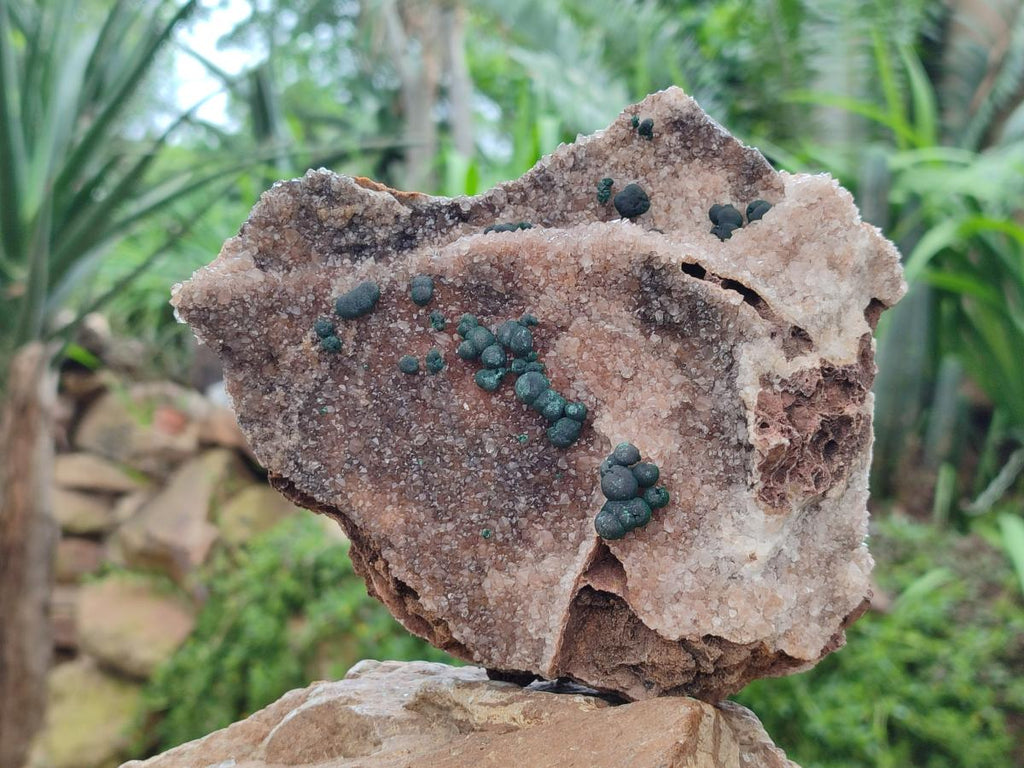 Natural Silky Ball Malachite and Drusy Quartz On Dolomite Matrix Specimens x 2 From Mindingi Mine, Kambove, Congo - Toprock Gemstones and Minerals 