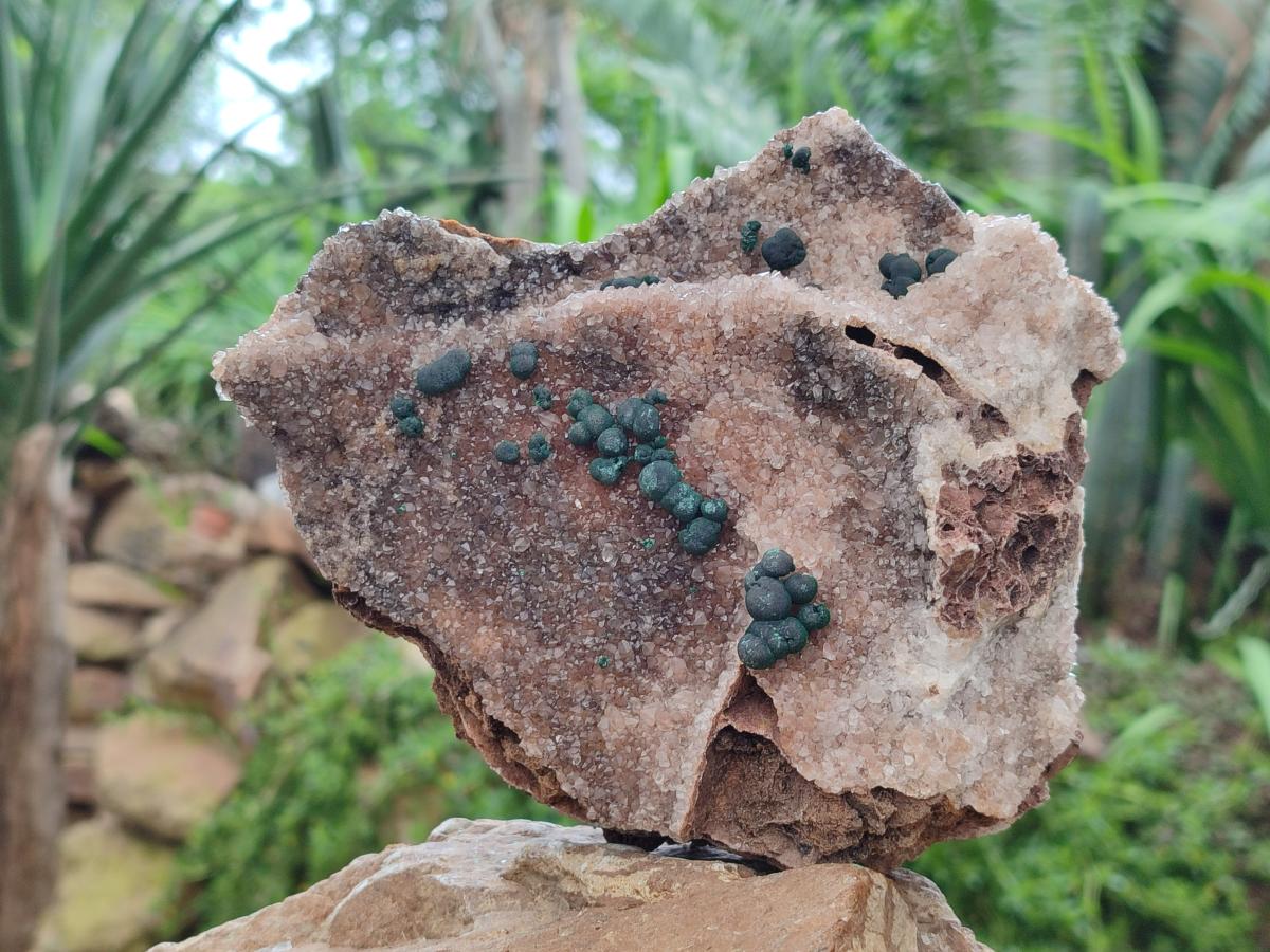 Natural Silky Ball Malachite and Drusy Quartz On Dolomite Matrix Specimens x 2 From Mindingi Mine, Kambove, Congo
