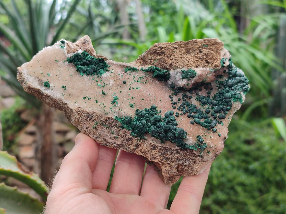 Natural Silky Ball Malachite and Drusy Quartz On Dolomite Matrix Specimens x 2 From Mindingi Mine, Kambove, Congo
