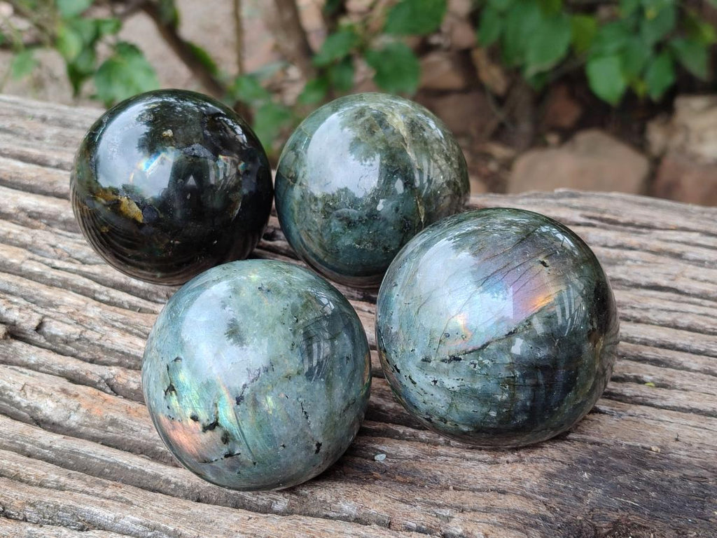 Polished Labradorite Spheres x 4 From Tulear, Madagascar