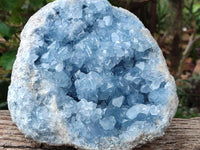 Natural XL Blue Celestite Geode Specimen x 1 From Sakoany, Madagascar