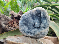 Natural XL Blue Celestite Geode Specimen x 1 From Sakoany, Madagascar