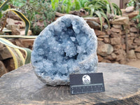 Natural XL Blue Celestite Geode Specimen x 1 From Sakoany, Madagascar