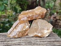 Natural Honey Aragonite Specimens x 24 From Namibia