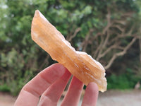 Natural Honey Aragonite Specimens x 24 From Namibia