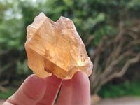 Natural Honey Aragonite Specimens x 24 From Namibia