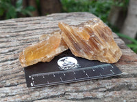 Natural Honey Aragonite Specimens x 24 From Namibia