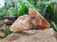 Natural Honey Aragonite Specimens x 24 From Namibia