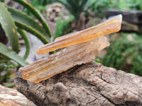 Natural Honey Aragonite Specimens x 24 From Namibia