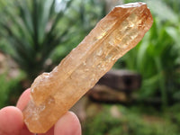 Natural Honey Aragonite Specimens x 24 From Namibia