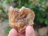 Natural Honey Aragonite Specimens x 24 From Namibia