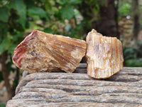 Natural Honey Aragonite Specimens x 24 From Namibia