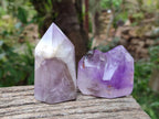 Polished Chevron And Window Amethyst Crystal Points x 6 From Madagascar