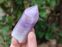 Polished Chevron And Window Amethyst Crystal Points x 6 From Madagascar